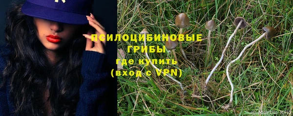 гашик Алексеевка