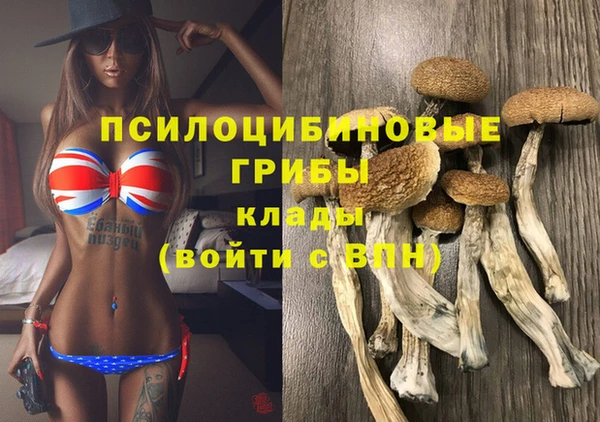 прущий лед Армянск