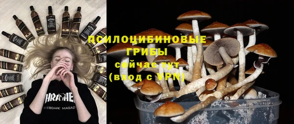 ПСИЛОЦИБИНОВЫЕ ГРИБЫ Магас